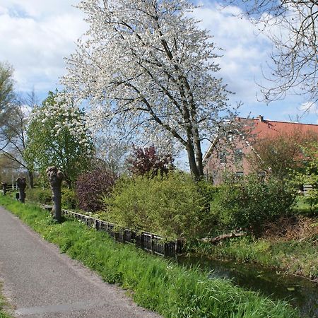 Gastenverblijf De Natureluur Noorden Exteriör bild