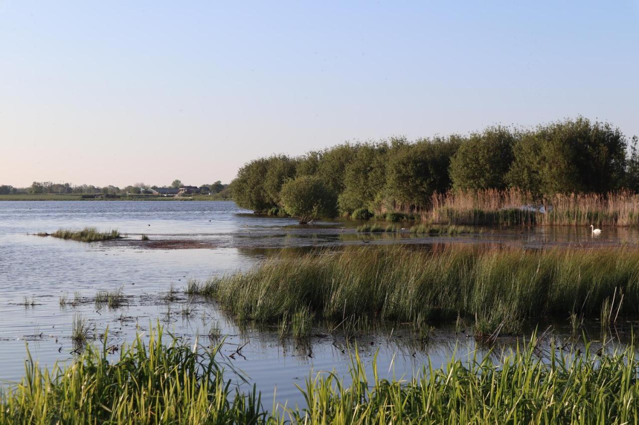 Gastenverblijf De Natureluur Noorden Exteriör bild