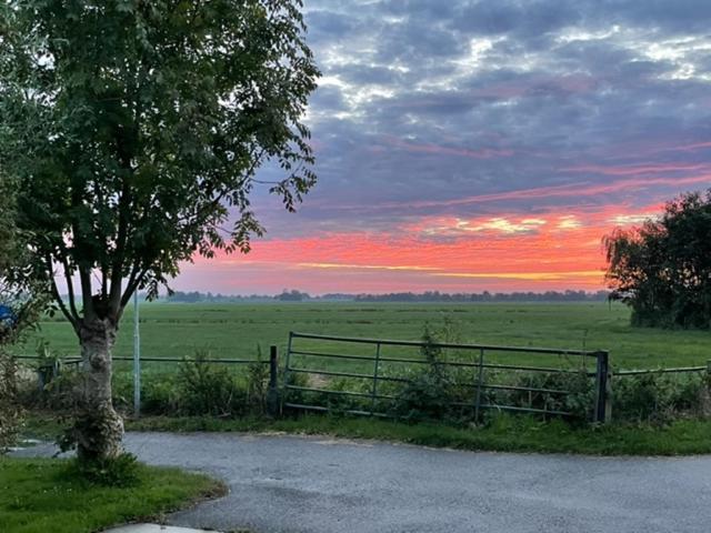 Gastenverblijf De Natureluur Noorden Exteriör bild