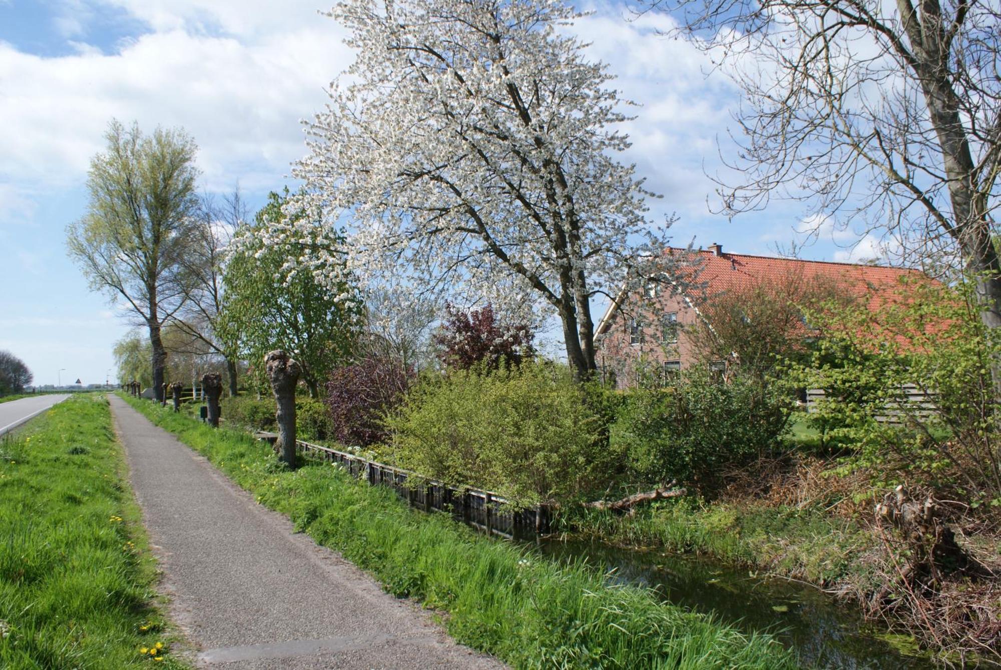 Gastenverblijf De Natureluur Noorden Exteriör bild