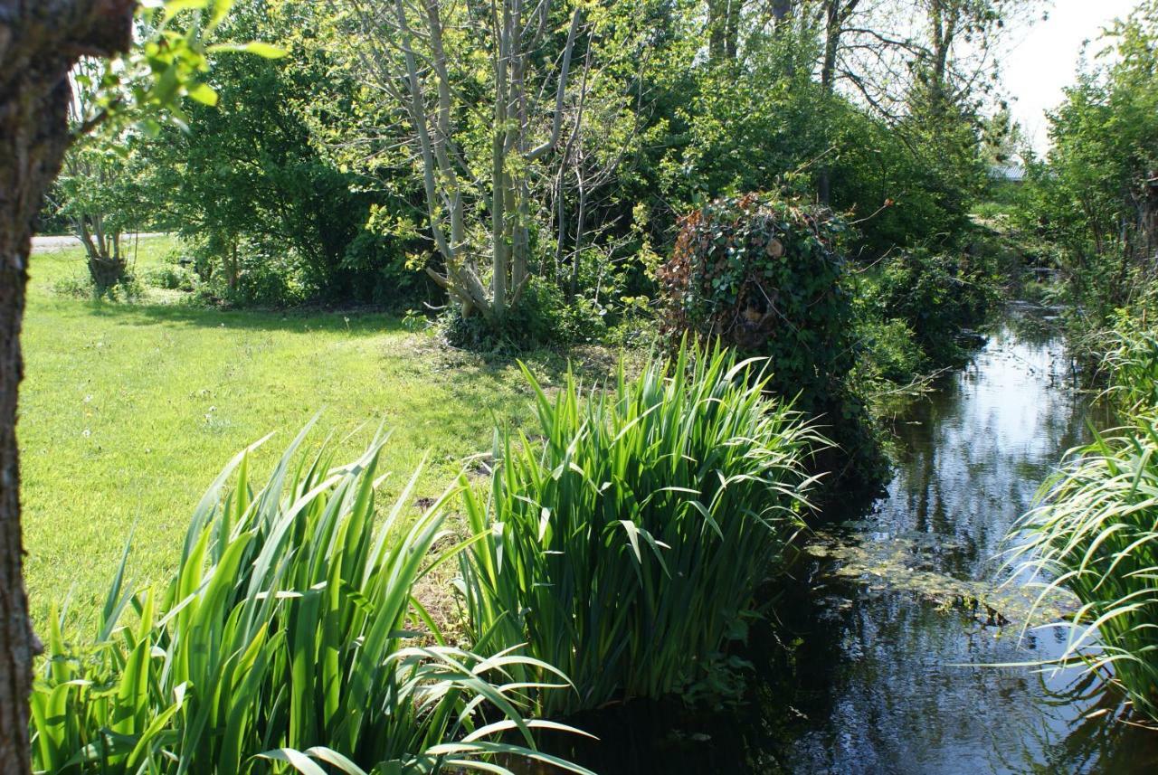 Gastenverblijf De Natureluur Noorden Exteriör bild